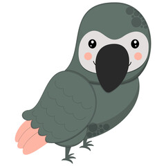 Cute cartoon character gray parrot on a white background. African bird for children's graphic design. Vector.