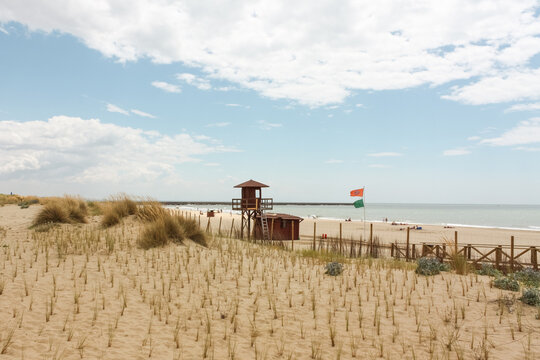 Coastal dunes at the beach, Islantilla, Andalusia, Spain