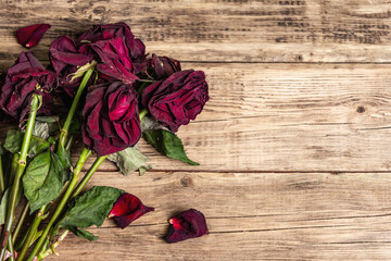 Obraz premium Bouquet of dry burgundy roses