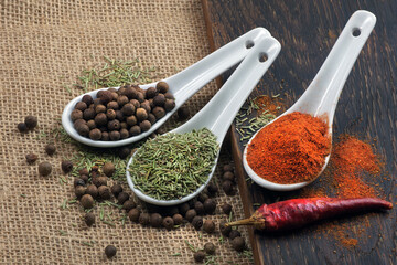 traditional spices. chili peppers, rosemary and allspice in spoons on the table