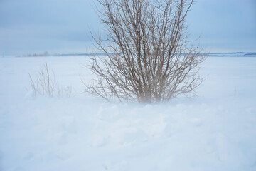 Fototapeta na wymiar snow, winter, landscape