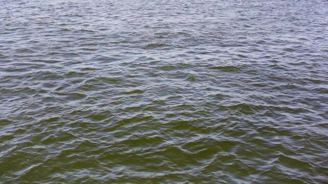 ocena sea waves coming downward to viewer direction.