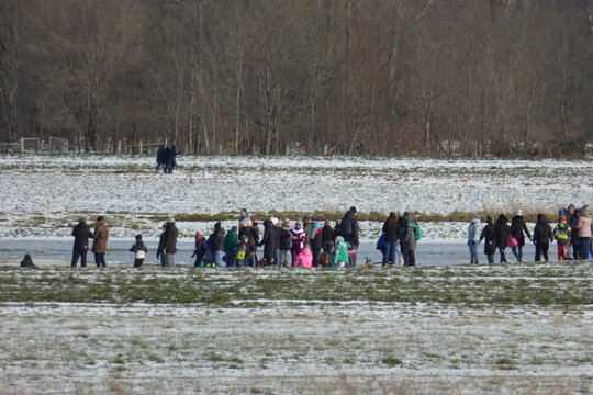 Auf den zugefrorenen Rheinwiesen im Uedesheimer Rheinbogen laufen viele Leute Schlittschuh. Nach leichtem Hochwasser und kalten Temperaturen locken sch&ouml;ne glatte Eisfl&auml;chen viele Besucher an.