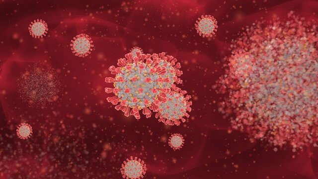Vaccine curing the Coronavirus COVID-19 by dissolving the diseased cells under the microscope as a concept. Coronavirus cells disappearing as a reaction to the vaccine. Virus cells evaporating.