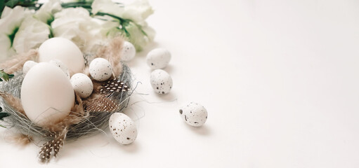 White eggs in a genuine bird nest on white background with generous accommodation for copy space. Shot with differential focus.