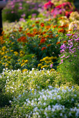 Obraz premium The colorful flowers are planted beautifully in the botanical garden. vertical image