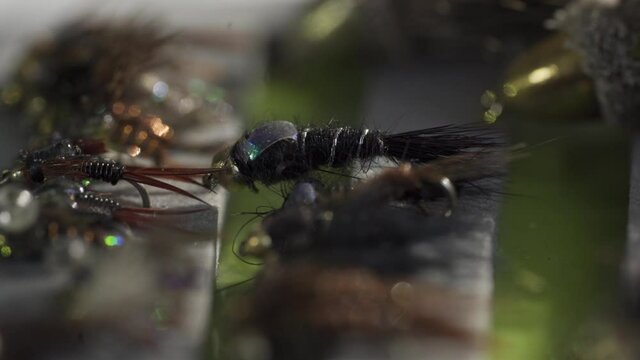 Zoom In Macro Shot Of Wet Nymph Flies, Collection In Trout And Salmon Fly Fishing Box