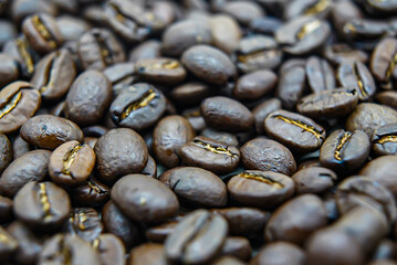 Coffee Beans Close up