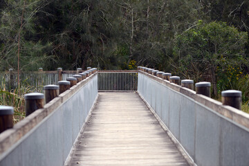  Wetland Reserve timber bridge walktrack