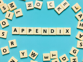 APPENDIX word made from square letter tiles on blue background.
