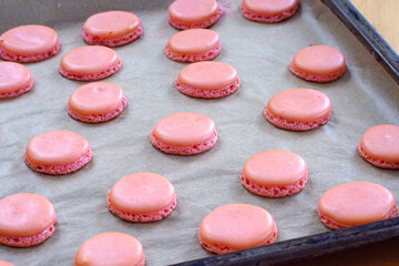 Pink homemade macaron cookies halves with feet on parchment paper on a baking sheet
