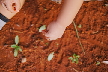 the boy's hand was playing on the dirty ground