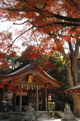 japanese temple in autumn