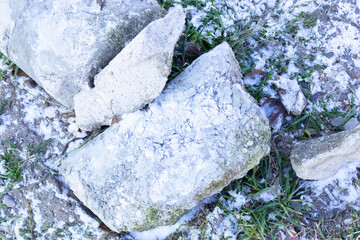 two white blocks lie on frozen greenery