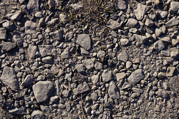 large and small gray stones are randomly scattered on the ground