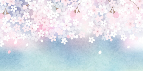 桜　春　花　背景
