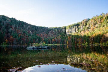 The Feldsee in autumn. The Feldsee is a small lake at the Bottom of Feldberg the highest mountain...