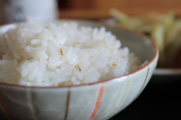 茶碗によそった麦ごはん