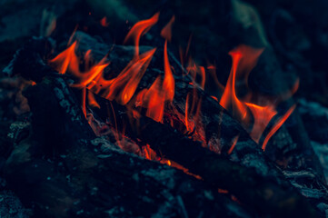 Background bonfire close-up, burning wood, small bright flame fire. Summer camping in nature, hot red-orange coals from burnt wood.