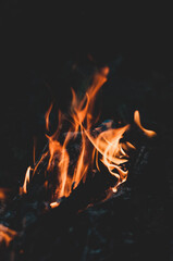 Arson or natural disaster. Burning tree branches. Remains from fire, hot red-orange coals from burnt wood.