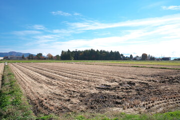晴れた日の農村の景色