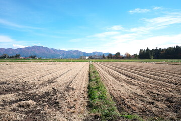 冬を迎えた田園地帯