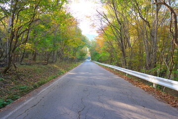 晴れた日の農村の景色