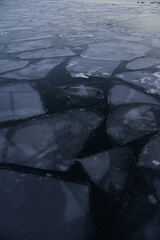Frozen Ice Sheets on a Lake