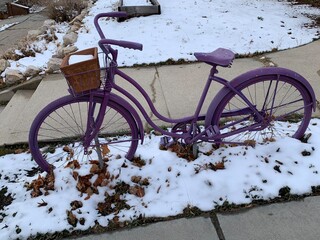 Purple beach cruiser bike with planter as a basket parked in the white snow