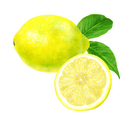 オレンジの１つと半分のイラスト 水彩の飛沫付き Wall Mural Mizumisa