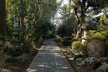 Path in the Japanese garden 