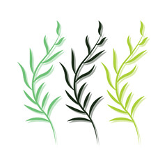 Green leaves, isolated on white background, vector illustration.