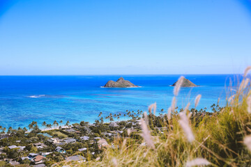 Fototapeta premium Lanikai Pillbox Hike, Kauai, Oahu, Hawaii