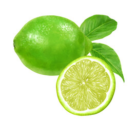 オレンジの１つと半分のイラスト 水彩の飛沫付き Wall Mural Mizumisa