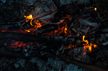 Background bonfire close-up, burning wood, small bright flame fire. Hot red-orange coals from burnt wood. Summer camping in nature