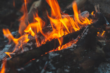 Burning fire in fireplace, bright orange flame on dark charred wood, burning firewood in small bonfire, close-up background,