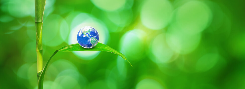 Earth on green leaf in panorama soft blur green nature background, The world need refreshment concept and Environmental and Eco concept, Elements of this image furnished by NASA