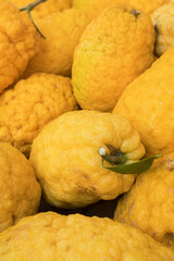Cedro citrons citrus fruits close-up at farmers market in Sicily
