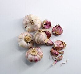 garlic