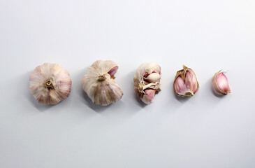 garlic