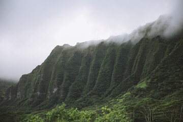 koolau range, Hoomaluhia Botanical Garden, Oahu, Hawaii