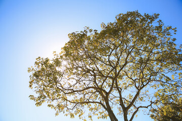 Ala Moana Regional Park, Honolulu, Oahu, Hawaii