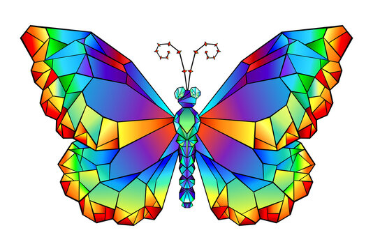 Rainbow polygonal butterfly