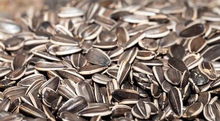 Delicious Organic Food Sunflower Seeds