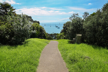 Fototapeta na wymiar path leading to the sea, green lawn and bushes on the sides, blue sky with clouds on the background