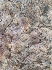 Cool rock in park