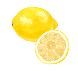 レモンの１つと半分のリアルなイラスト