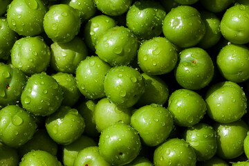 Fresh and Delicious Plum Fruit