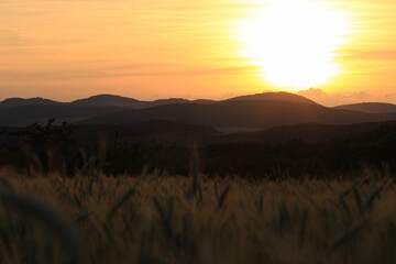 Fototapeta na wymiar Schöner Sonnenuntergang aus einem Feld fotografiert