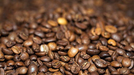 Fresh Raw Roasted Coffee Beans